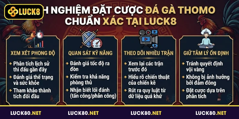 Đá Gà Thomo Luck8 - Nơi Hội Tụ Những Trận Đấu Đỉnh Cao 4 Kinh nghiệm đặt cược đá gà Thomo chuẩn xác tại Luck8