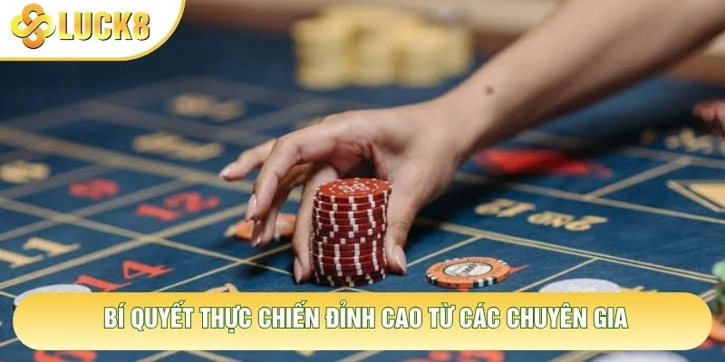 Bí quyết thực chiến đỉnh cao từ các chuyên gia
