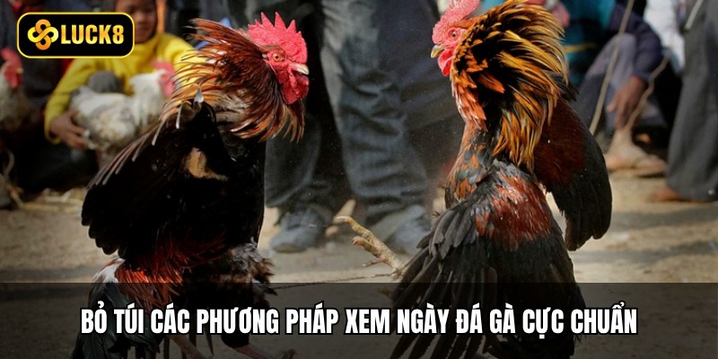 Bỏ túi các phương pháp xem ngày đá gà cực chuẩn