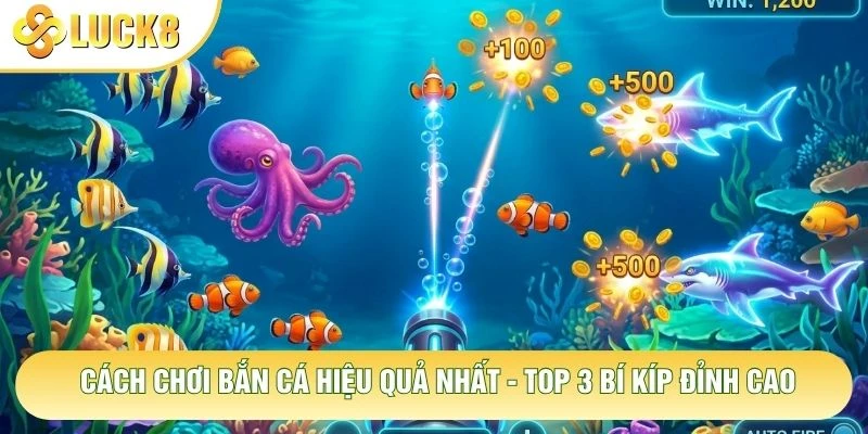 Cách Chơi Bắn Cá Hiệu Quả Nhất - Top 3 Bí Kíp Đỉnh Cao 8 Cách Chơi Bắn Cá Hiệu Quả Nhất - Top 3 Bí Kíp Đỉnh Cao