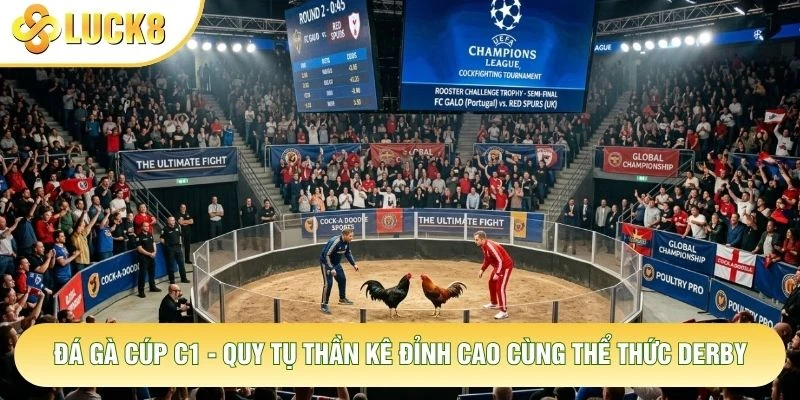 Đá Gà Cúp C1 - Quy Tụ Thần Kê Đỉnh Cao Cùng Thể Thức Derby 10 Đá Gà Cúp C1 - Quy Tụ Thần Kê Đỉnh Cao Cùng Thể Thức Derby