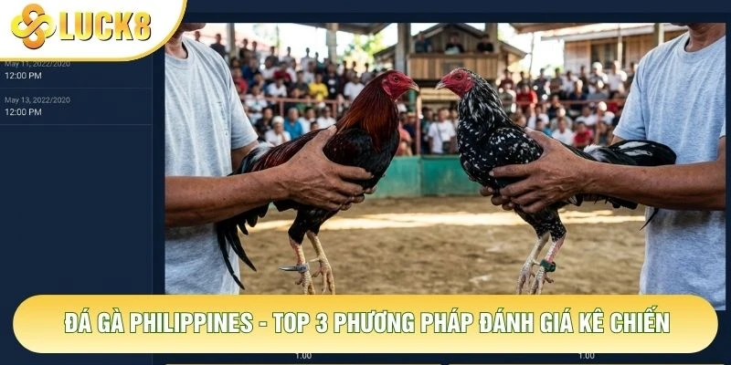 Đá Gà Philippines - Top 3 Phương Pháp Đánh Giá Kê Chiến 5 Đá Gà Philippines - Top 3 Phương Pháp Đánh Giá Kê Chiến