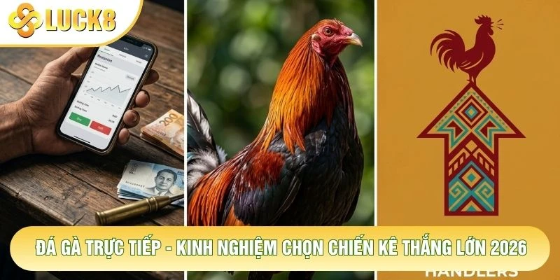 Đá Gà Trực Tiếp - Kinh Nghiệm Chọn Chiến Kê Thắng Lớn 2026 10 Đá Gà Trực Tiếp - Kinh Nghiệm Chọn Chiến Kê Thắng Lớn 2026