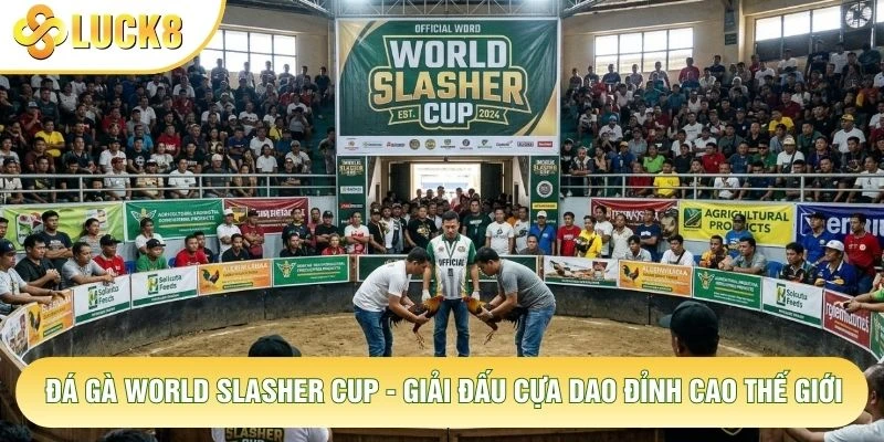 Đá Gà World Slasher Cup - Giải Đấu Cựa Dao Đỉnh Cao Thế Giới 3 Đá Gà World Slasher Cup - Giải Đấu Cựa Dao Đỉnh Cao Thế Giới