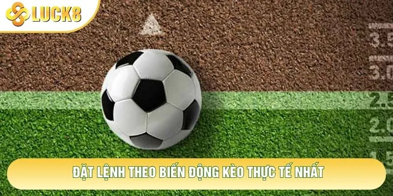 Đặt lệnh theo biến động kèo thực tế nhất Đặt lệnh theo biến động kèo thực tế nhất