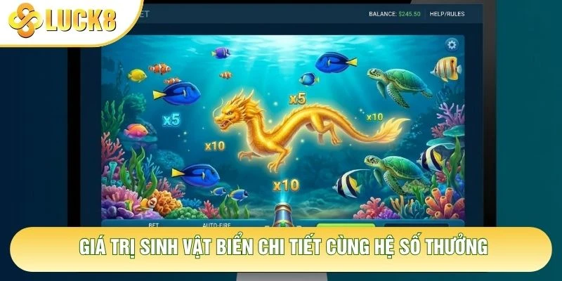 Giá trị sinh vật biển chi tiết cùng hệ số thưởng