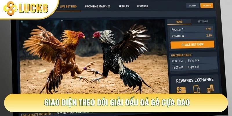 Giao diện theo dõi giải đấu đá gà cựa dao
