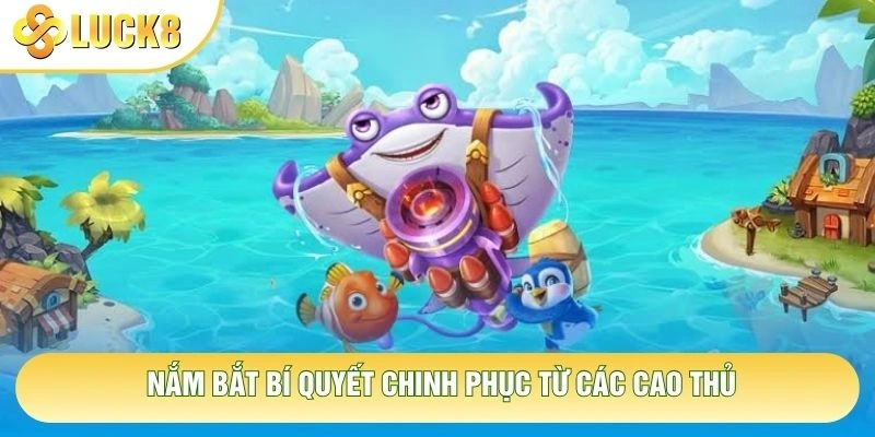 Nắm bắt bí quyết chinh phục từ các cao thủ