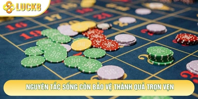 Nguyên tắc sống còn bảo vệ thành quả trọn vẹn