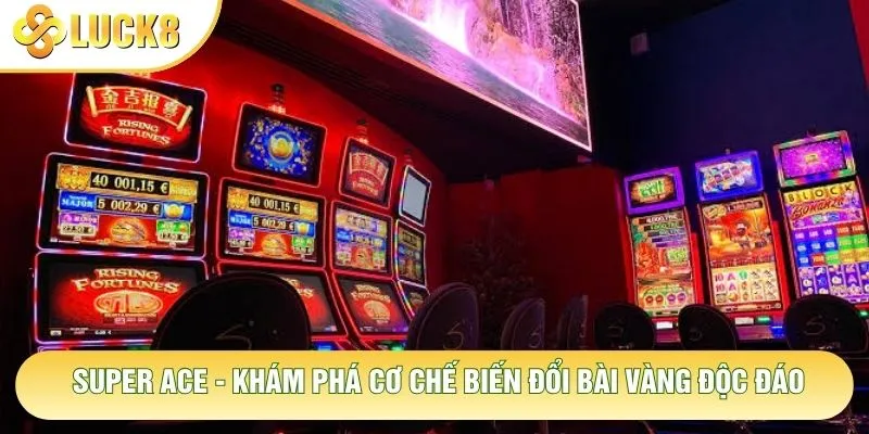 Super Ace - Khám Phá Cơ Chế Biến Đổi Bài Vàng Độc Đáo