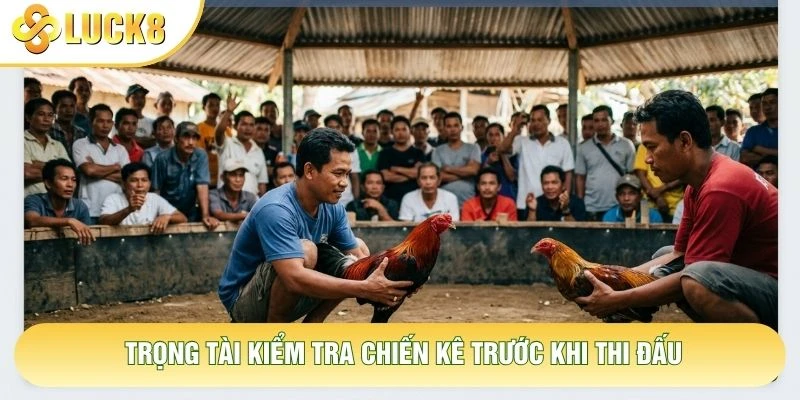 Trọng tài kiểm tra chiến kê trước khi thi đấu